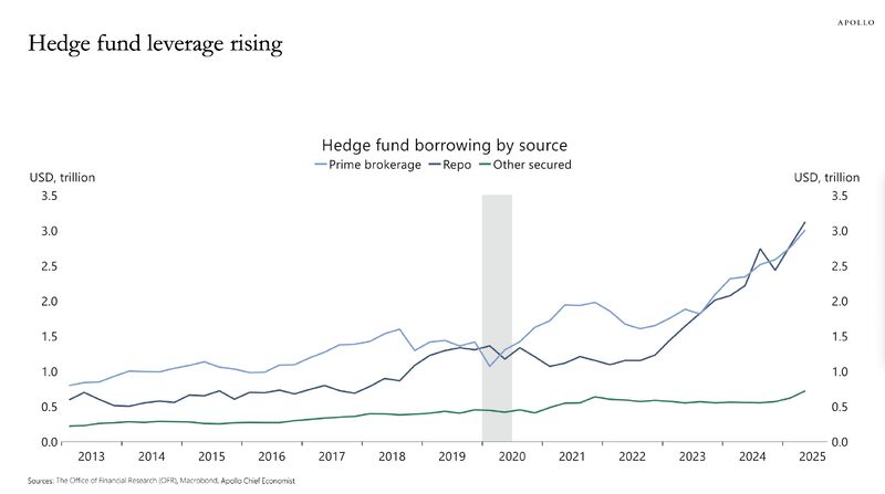 Hedge Funds Leverage